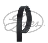 Gates 5PK985 V-Ribbed Belt