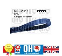 V-ribbed Belt for Alpine V6 BMW 3 5 7 Chrysler SARATOGA 11282244179