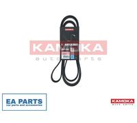 V-Ribbed Belt for AUDI A4 A5 A6 A7 KAMOKA 7016236