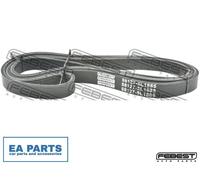 V-Ribbed Belt for BMW E36 FEBEST 88127-5L1885