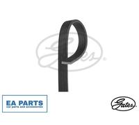 V-Ribbed Belt for JAGUAR F-TYPE XE XF XJ GATES 8DPK1410