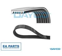 DAYCO 6PK2074S Serpentine belt