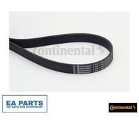 V-Ribbed Belt for MERCEDES-BENZ W205 A205 C205 CONTINENTAL CTAM 7PK1196 EXTRA