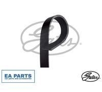 V-Ribbed Belt for MERCEDES-BENZ W205 A205 C205 S205 GATES 7PK1196EST