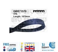 V Ribbed Belt For Renault THALIA 14- SCENIC 16-22 MEGANE 16- 1172000Q6F
