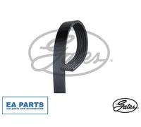 V-Ribbed Belt for SUBARU B4 CROSSTREK FORESTER LEVORG GATES 6PK1960