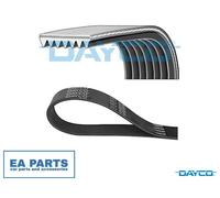V-Ribbed Belt for TOYOTA DYNA Platform/Chassis HIACE DAYCO 7PK1095