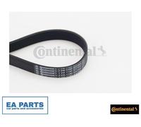 V-Ribbed Belt for VOLVO S60 S90 V60 V90 CONTINENTAL CTAM 7PK1190 EXTRA