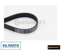 V-Ribbed Belt for VOLVO XC40 XC60 XC90 CONTINENTAL CTAM 7PK1190 EXTRA