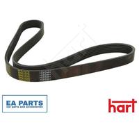 V-Ribbed Belt for VW AMAROK BEETLE BORA CADDY II Pickup HART 338 074