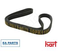 V-Ribbed Belt for VW BEETLE BORA CADDY CALIFORNIA T5 Camper HART 338 073