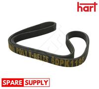 V-RIBBED BELT FOR VW BEETLE BORA CADDY CALIFORNIA T5 CAMPER HART 338 073