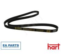 V-Ribbed Belt for VW BORA GOLF PASSAT HART 338 075