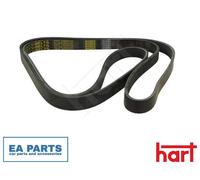 V-Ribbed Belt for VW CALIFORNIA T4 Camper CARAVELLE T4 Bus HART 338 062