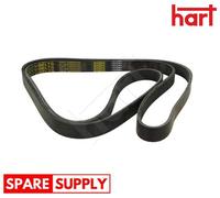 V-RIBBED BELT FOR VW CALIFORNIA T4 CAMPER CARAVELLE T4 BUS HART 338 062
