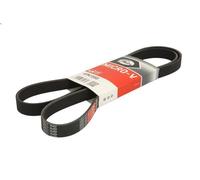 GATES 6PK1555 Serpentine belt