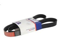 Fits OPTIBELT 8PK1500 V-ribbed Belt 8PK1500 Multi belt (8PK1500)