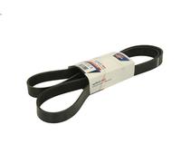 V-ribbed Belt OPTIBELT 8PK1915 for MAN TGX I 10.518 2016-2021