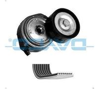 V-ribbed Belt Se DAYCO KPV053HD for MAN TGA 6.871 2001-2001