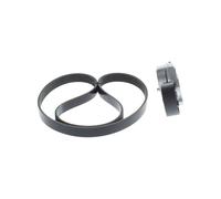 BOSCH 1 987 600 717 V-Ribbed Belt Set