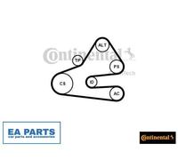 V-Ribbed Belt Set for AUDI A4 CONTINENTAL CTAM 6PK1613K1
