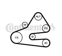 V-RIBBED BELT SET FOR AUDI A4 CONTINENTAL CTAM 6PK1613K1