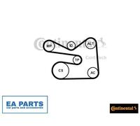 V-Ribbed Belt Set for AUDI SEAT SKODA CONTINENTAL CTAM 6PK1733K3