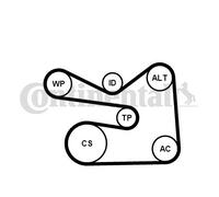 V-RIBBED BELT SET FOR AUDI SEAT SKODA CONTINENTAL CTAM 6PK1733K3