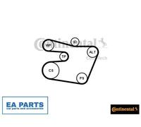 V-Ribbed Belt Set for BMW E39 CONTINENTAL CTAM 6PK1538K1