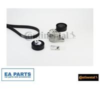 V-Ribbed Belt Set for BMW E46 CONTINENTAL CTAM 6PK1538K1