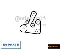 V-Ribbed Belt Set for CITROËN BERLINGO C5 XSARA CONTINENTAL CTAM 6PK1705K2