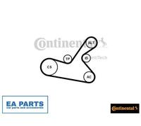 V-Ribbed Belt Set for CITROËN C2 C3 CONTINENTAL CTAM 6PK1125K1