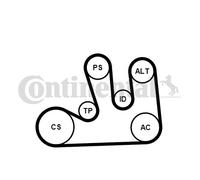 V-Ribbed Belt Set for DACIA LOGAN SANDERO SOLENZA CONTINENTAL CTAM 5PK1750K1