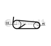 V-Ribbed Belt Set for FIAT DUCATO CONTINENTAL CTAM 4PK922 ELAST T1