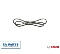 V-Ribbed Belt Set for FORD C-MAX FOCUS BOSCH 1 987 946 196