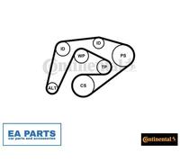 V-Ribbed Belt Set for MERCEDES-BENZ B906 CONTINENTAL CTAM 6PK2260K3