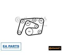V-Ribbed Belt Set for MERCEDES-BENZ W203 W204 CL203 CONTINENTAL CTAM 6PK2260K1
