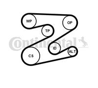 V-RIBBED BELT SET FOR MG MG ZT, MG ZT CONTINENTAL CTAM 5PK2030K1