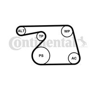 V-RIBBED BELT SET FOR OPEL AGILA COMBO CORSA C CONTINENTAL CTAM 6PK1318K2