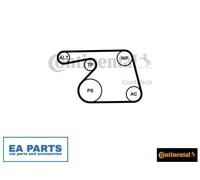 V-Ribbed Belt Set for OPEL AGILA COMBO CORSA C CONTINENTAL CTAM 6PK1318K2