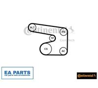 V-Ribbed Belt Set for OPEL ASTRA CLASSIC F ASTRA F CONTINENTAL CTAM 6PK1900K1