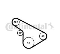 V-Ribbed Belt Set for OPEL ASTRA CLASSIC G ASTRA G CONTINENTAL CTAM 5PK1212K1