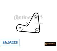 V-Ribbed Belt Set for PEUGEOT 1007 307 308 CONTINENTAL CTAM 6PK1070K3