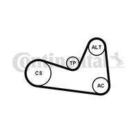 V-RIBBED BELT SET FOR RENAULT CAPTUR CLIO DOKKER CONTINENTAL CTAM 6PK1200K1