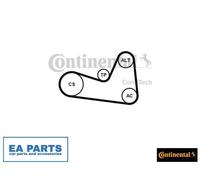 V-Ribbed Belt Set for RENAULT CAPTUR CLIO DOKKER CONTINENTAL CTAM 6PK1200K1