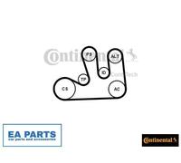V-Ribbed Belt Set for RENAULT CLIO ESPACE KANGOO CONTINENTAL CTAM 5PK1750K1