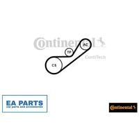 V-Ribbed Belt Set for RENAULT CLIO KANGOO SYMBOL CONTINENTAL CTAM 4PK925K1