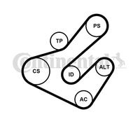 V-RIBBED BELT SET FOR RENAULT DUSTER KAPTUR LAGUNA CONTINENTAL CTAM 7PK1795K2
