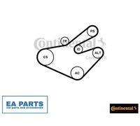 V-Ribbed Belt Set for RENAULT MASTER TRAFIC CONTINENTAL CTAM 7PK1795K1