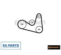 V-Ribbed Belt Set for SEAT CORDOBA IBIZA CONTINENTAL CTAM 6PK1180K2